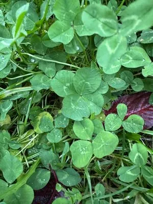 Nález #15494 – ZLÍN_HLUBOKÁ001