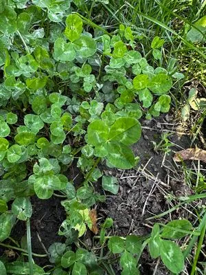 Nález #14762 – ZLÍN_JSVAHY-NSTR-S003