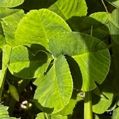 Nález #18028