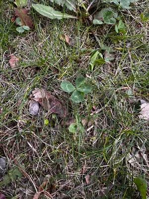 Nález #16650 – ZLÍN_JSVAHY-UTB-U5-001