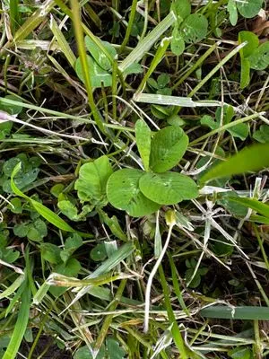 Nález #15127