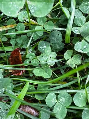 Nález #15083 – ZLÍN_BAŤŮVPARK001