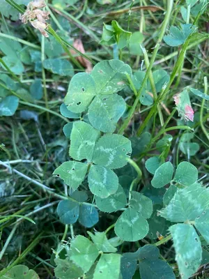 Nález #77 – ZLÍN_JSVAHY-UTB-U5-001a