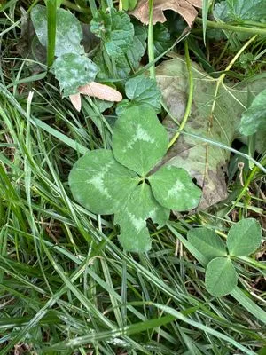 Nález #13604 – ZLÍN_JSVAHY-BUDOVATELSKÁ002