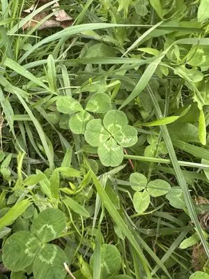 Nález #13609 – ZLÍN_JSVAHY-SLUNEČNÁ001