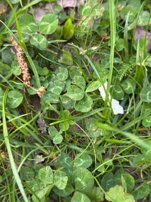 Nález #16943 – ZLÍN_JSVAHY-UTB-U5-001b