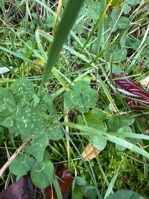 Nález #15488 – ZLÍN_HLUBOKÁ001