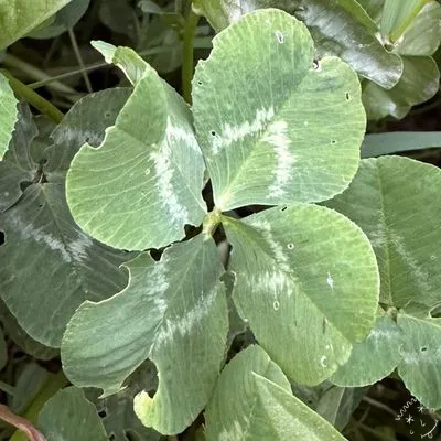 Nález #8485