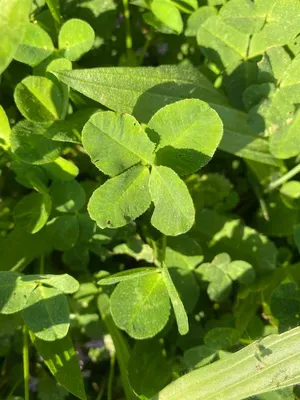 Nález #154 – NEEXISTUJE-ZLÍN_JSVAHY-JAVOROVÁ002