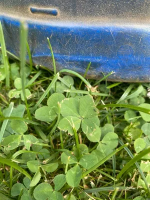 Anonymized find #90