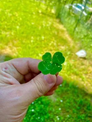 Nález #1 – ZLÍN_JSVAHY-SNP000