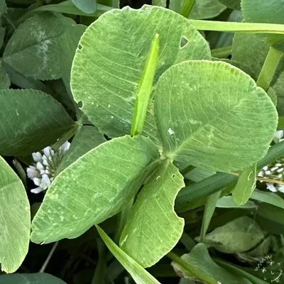 Find #12201
