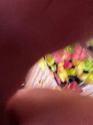 Anonymized find #15055