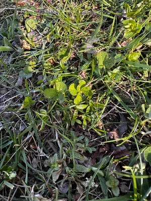 Nález #16609 – ZLÍN_JSVAHY-UTB-U5-002