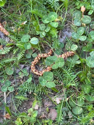 Nález #16941 – ZLÍN_JSVAHY-UTB-U5-001b